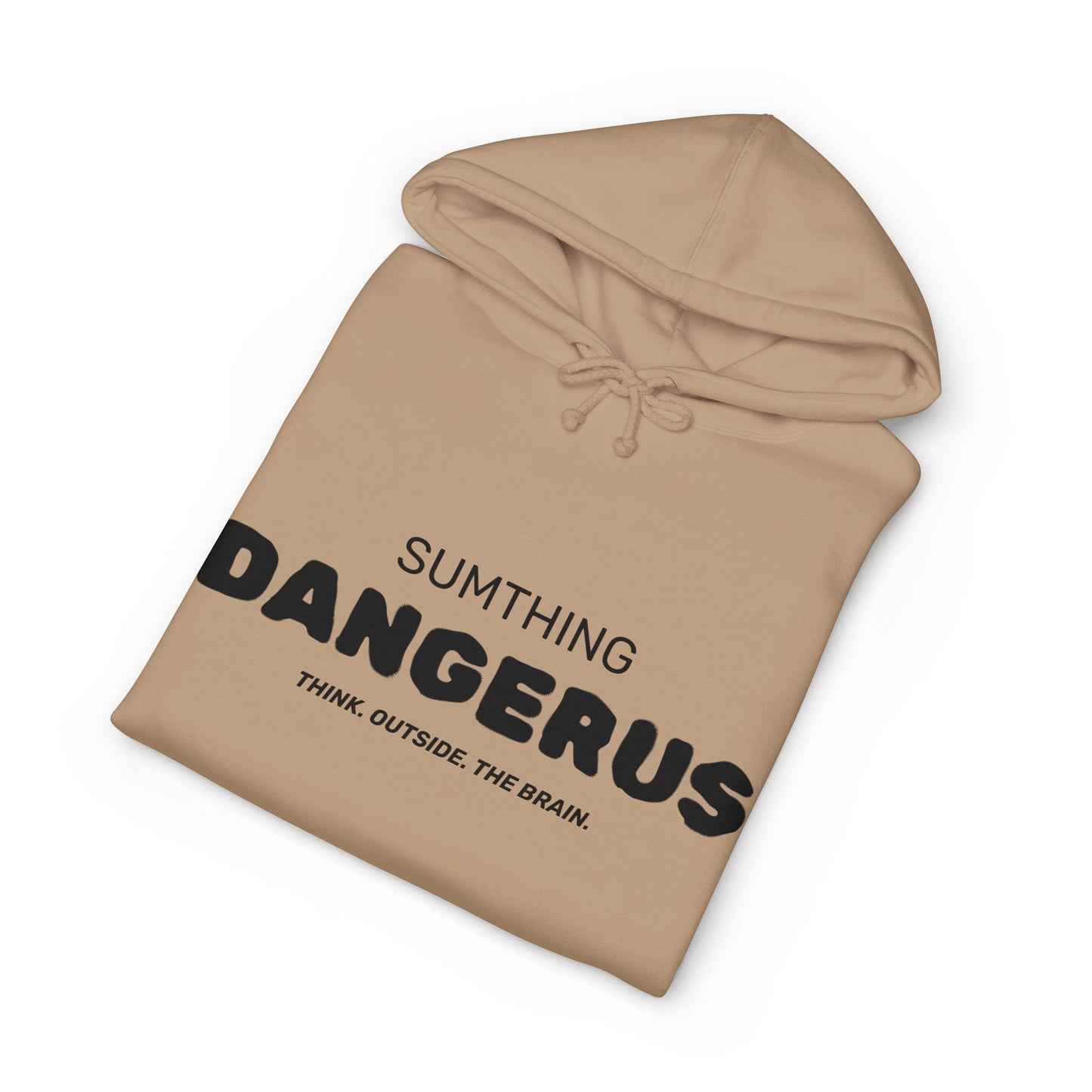 Sumthing Dangerus | Pullover Hoodie